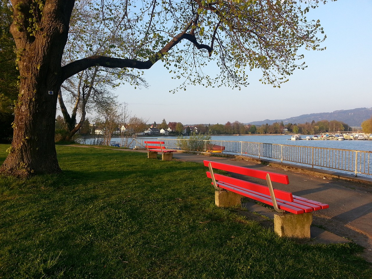 迷的聚光灯 迷的聚光灯