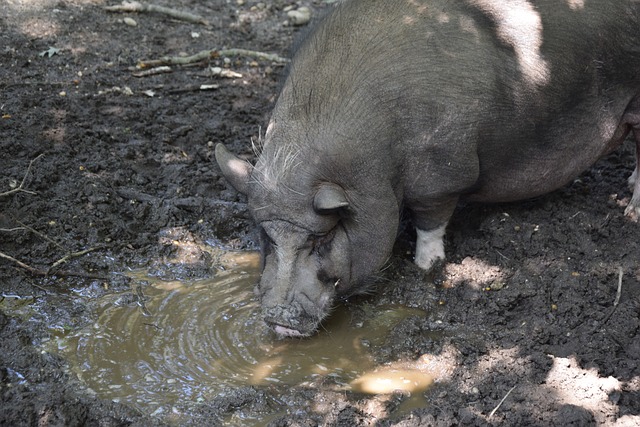 詹姆斯回应争议，证实自己是热爱阅读的真实书迷 ，潘粤明深夜发文狂喷国足，恰恰说明不懂球的人太多.