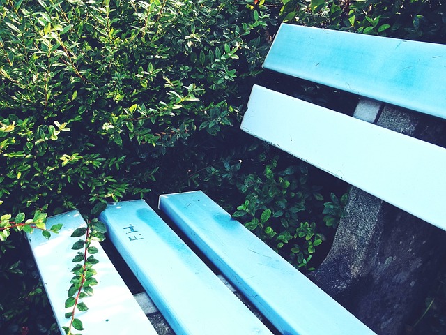 普利希奇再 普利希奇再